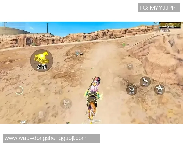 实时新闻聚焦和平精英战术解析JDG团队的胜利之道与策略探讨